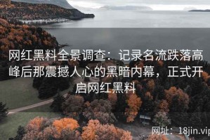 网红黑料全景调查：记录名流跌落高峰后那震撼人心的黑暗内幕，正式开启网红黑料