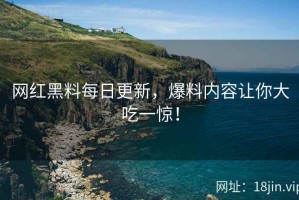 网红黑料每日更新，爆料内容让你大吃一惊！
