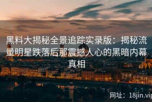 黑料大揭秘全景追踪实录版：揭秘流量明星跌落后那震撼人心的黑暗内幕真相