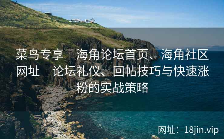 菜鸟专享｜海角论坛首页、海角社区网址｜论坛礼仪、回帖技巧与快速涨粉的实战策略