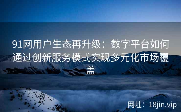 91网用户生态再升级：数字平台如何通过创新服务模式实现多元化市场覆盖