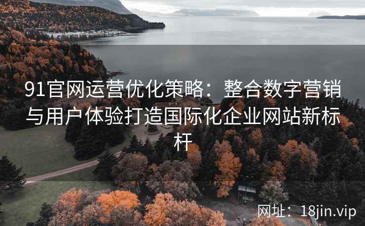 91官网运营优化策略：整合数字营销与用户体验打造国际化企业网站新标杆